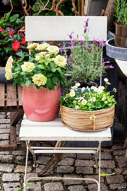 istock old chair and flowers 495580930