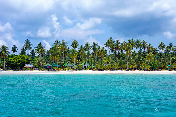 istock Tropical resort with many palm trees view from sea. 495584387