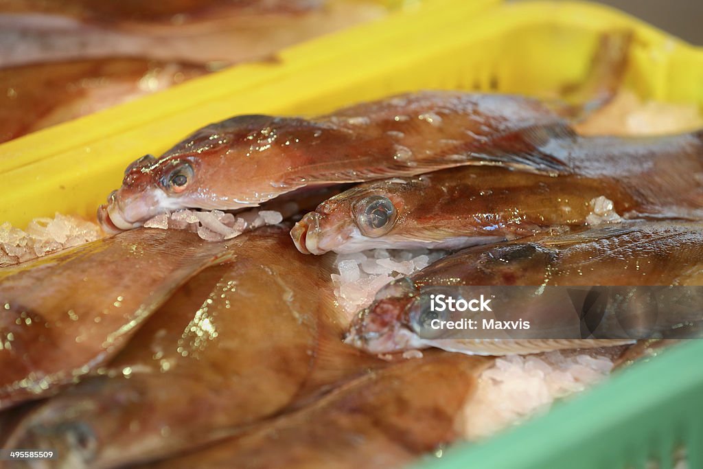 Fishmarket suola fresco - Foto stock royalty-free di Limanda - Sogliola