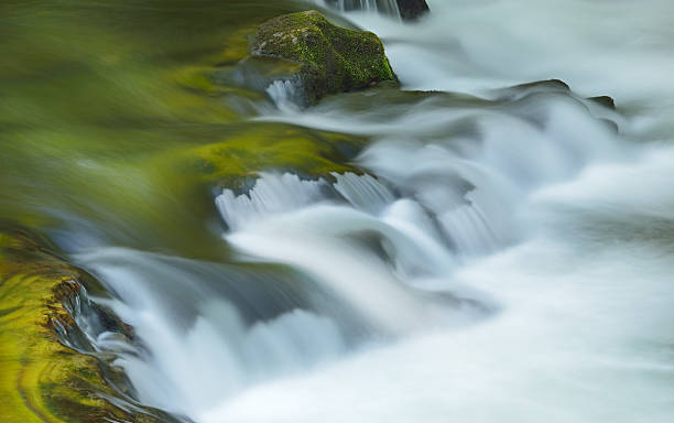 маленький река рэпидс - waterfall stream river tennessee стоковые фото и изображения