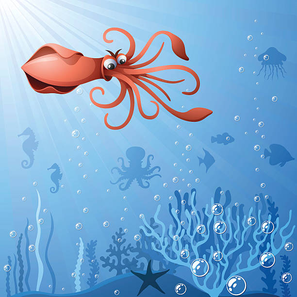 2,423 Funny Squid Stock Photos, Pictures & Royalty-Free Images - iStock