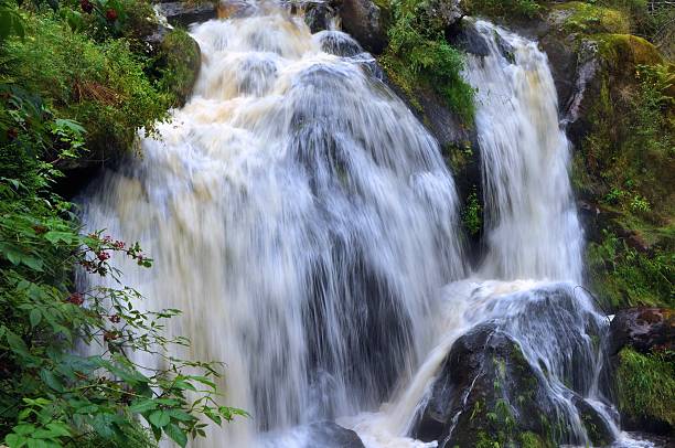 istock Waterfall in the Black Forest in Triberg 495589759