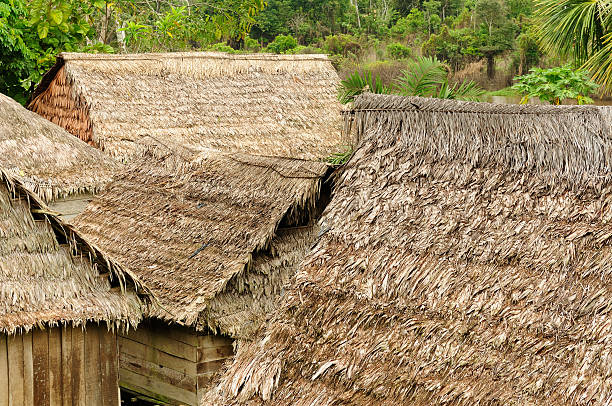 istock Thatched roofs of traditional houses in Amazonas 495593788