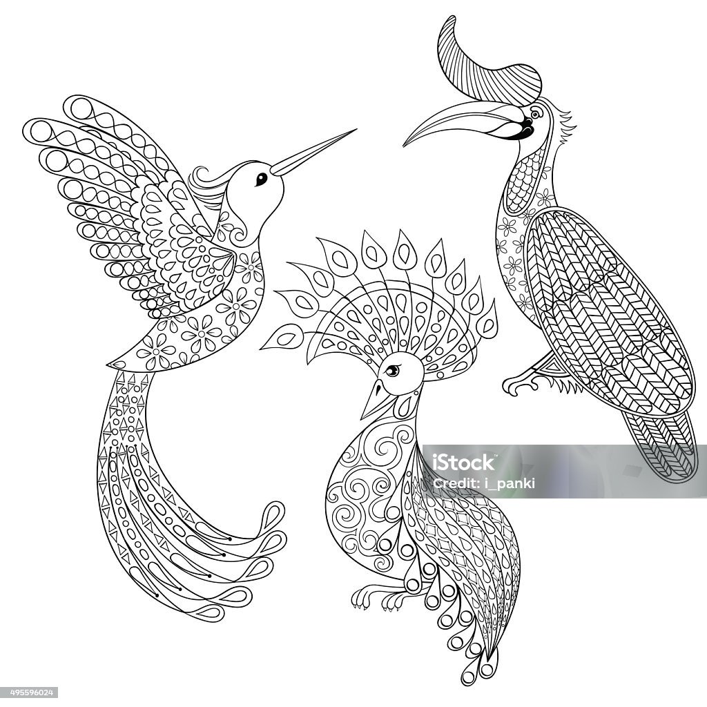 Coloring page with Bird Rhinoceros, Hummingbird and exotic bird, Coloring page with Bird Rhinoceros, Hummingbird and exotic bird, illustartion for adult Coloring books or tattoos with high details isolated on white background. Vector monochrome bird set. Tangle Pattern stock vector