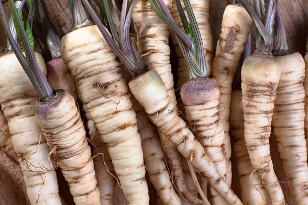 istock fresh roots of parsley 495596378