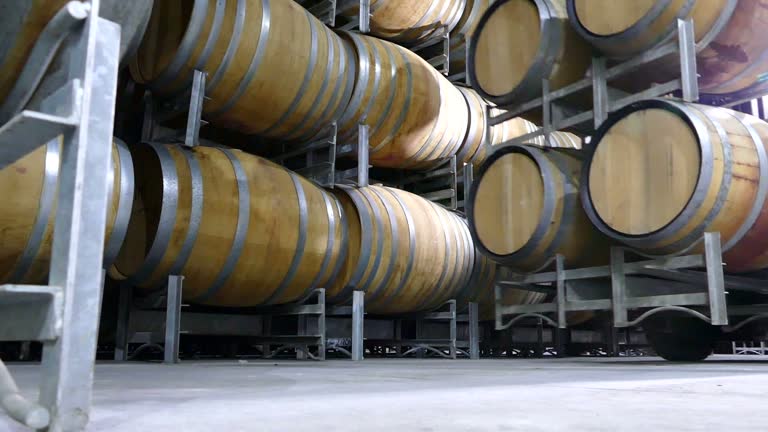 Wine production in winery cellar with forklift transport wine storage