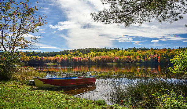 istock Still afternoon on the lake in autumn. 495599596