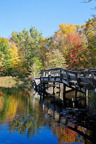 istock Broken wooden bridge over lake in Autumn 495600508