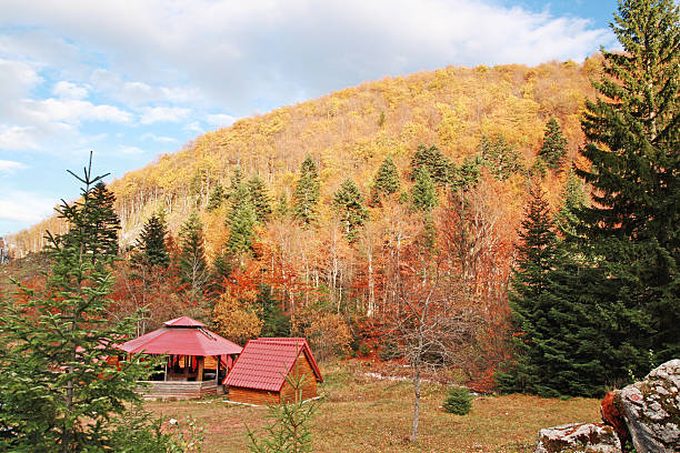 istock Beautifull mountain house 495600694