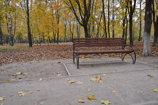 Bench in the autumn Park. Oktyabr in a city Park when the fall leaves.