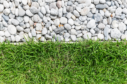 pebble stone and green grass horizontal view