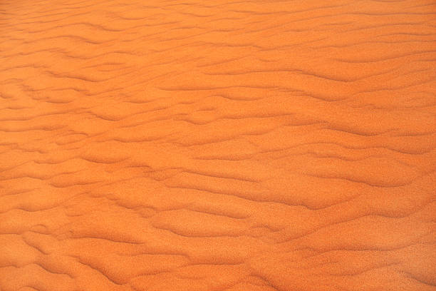 istock Texture of sand dune in desert 495602030