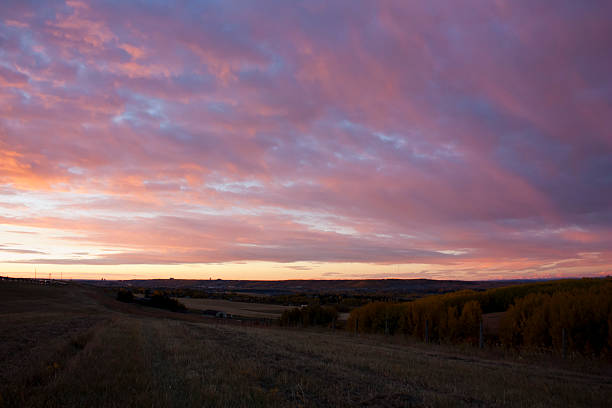 istock Sunrise over cultivated land 495602919