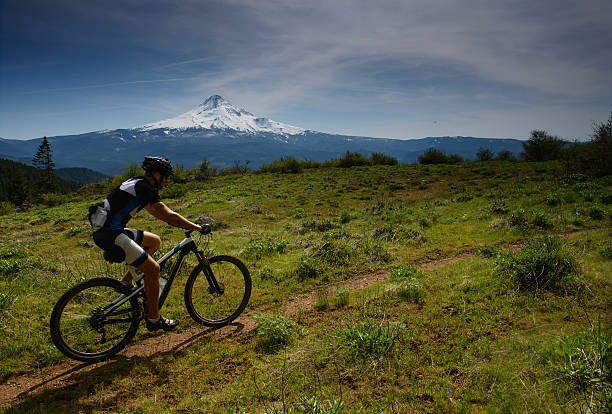 vtt et mont hood - mountain cycling bicycle tire photos et images de collection