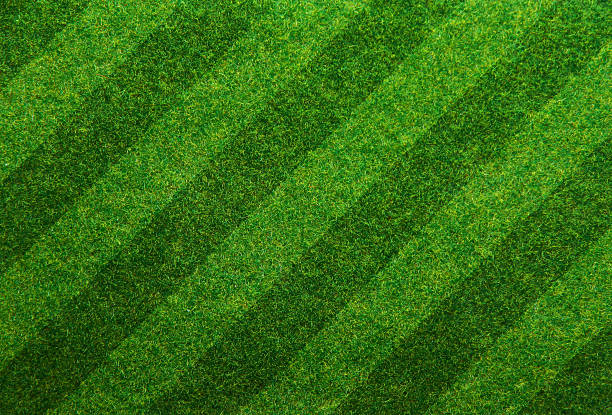 istock Green grass soccer field background 495603073