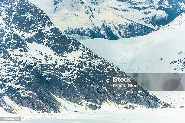 Jungfraujoch — стоковые фотографии и другие картинки Астра - Астра, Без людей, Бернское нагорье