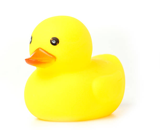 istock Yellow Rubber Duck isolated 495605605