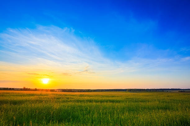 istock Sunset over rural countryside field 495606183