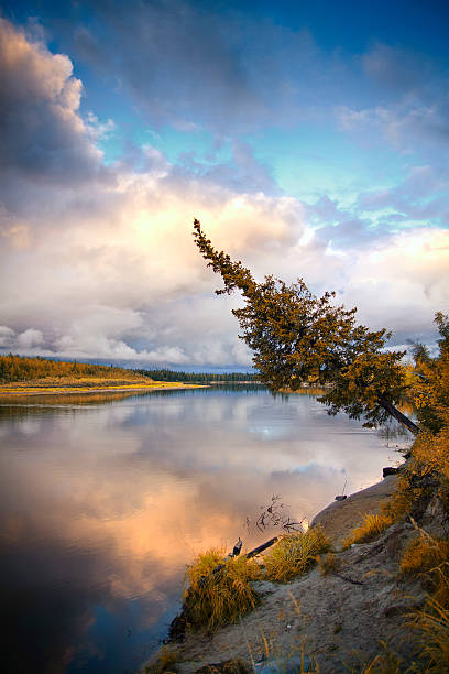 istock nature of Siberia 495607009