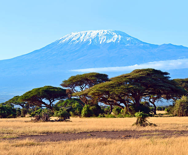 istock Amboseli National Park 495607387