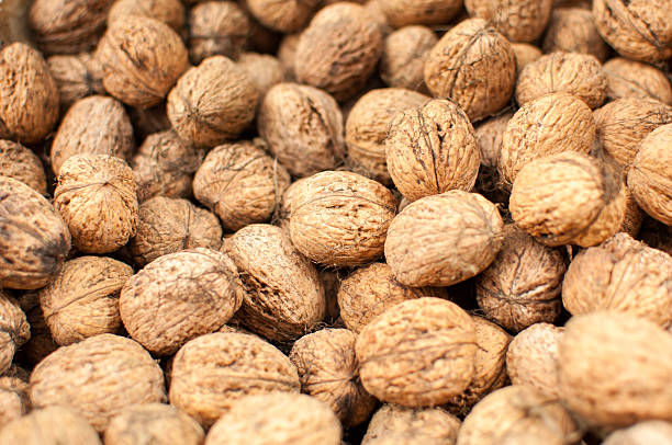 istock Scattered pile of walnuts 495607439