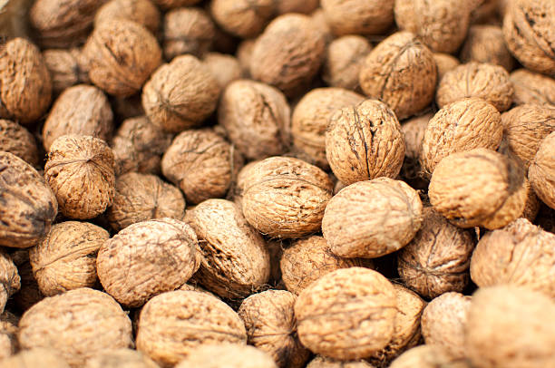 istock Scattered pile of walnuts 495608571