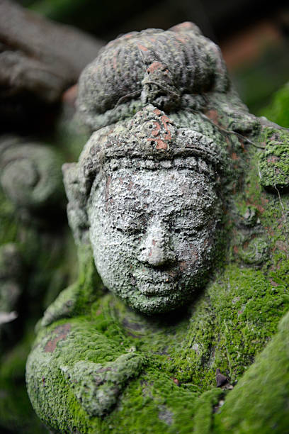 istock THAILAND CHIANG MAI BUDDHA GARDEN 495608603