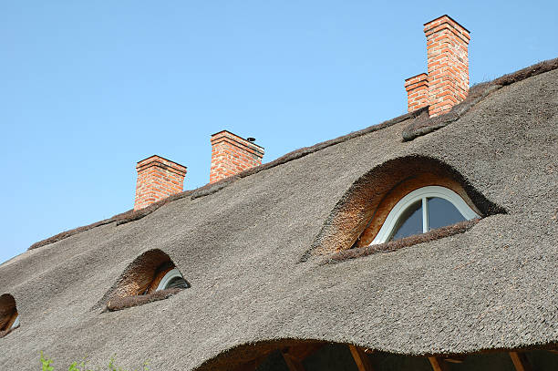 istock Straw roof and chimneys 495609135