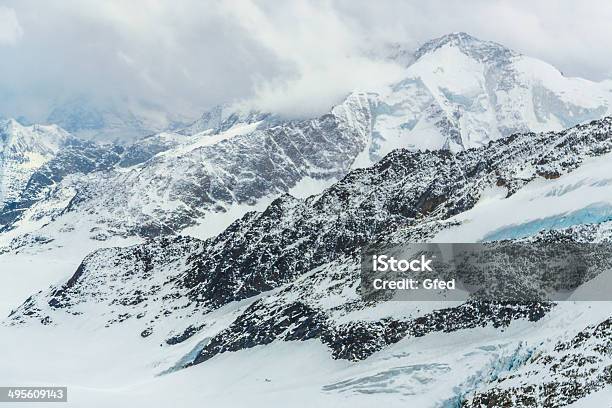 Jungfraujoch — стоковые фотографии и другие картинки Астра - Астра, Без людей, Бернское нагорье