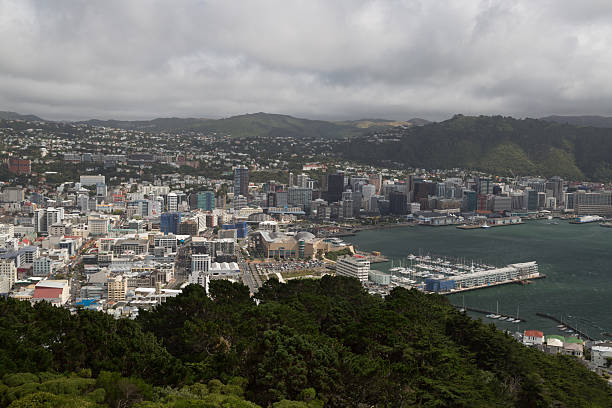 istock Welligton City, shoot from the waterfront 495610426