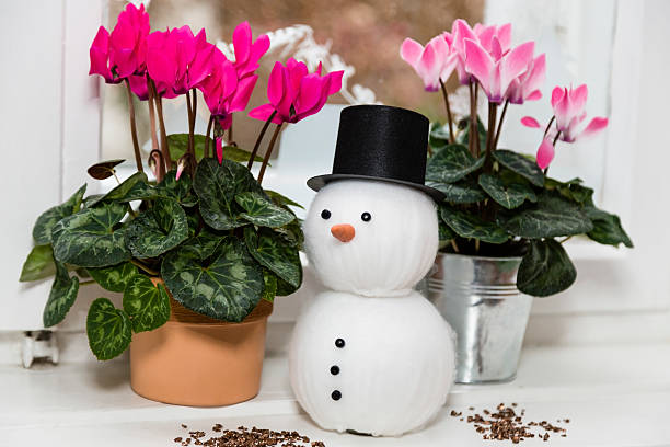 Christmas still life still life at christmas with snowman cyclamen stock pictures, royalty-free photos & images