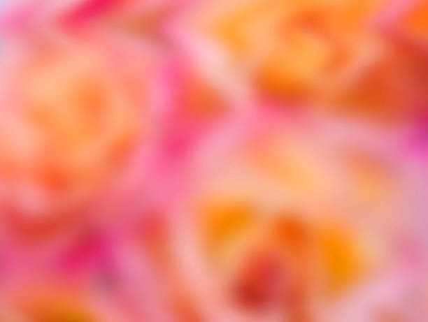 istock Defocused pink, yellow and red background 495613890