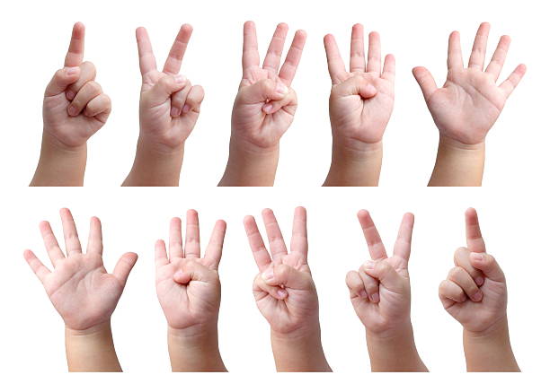 conjunto de mãos contando com sinal de criança isolada a branco - counts imagens e fotografias de stock