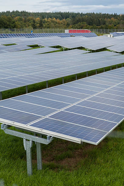 istock Field with blue siliciom solar cells alternative energy 495617216