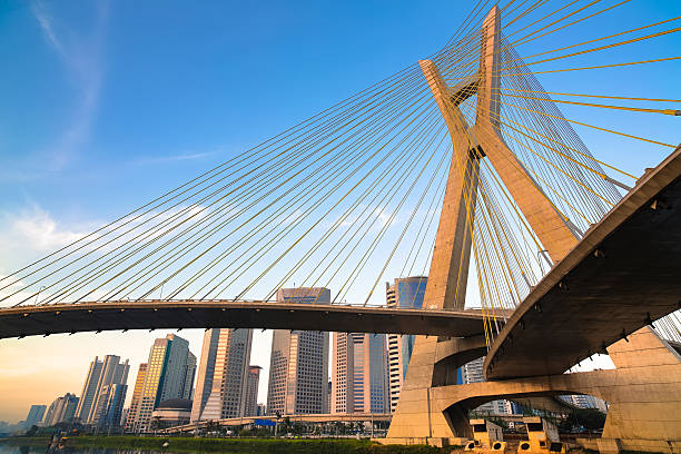 istock Estaiada Bridge in Sao Paulo 495621390