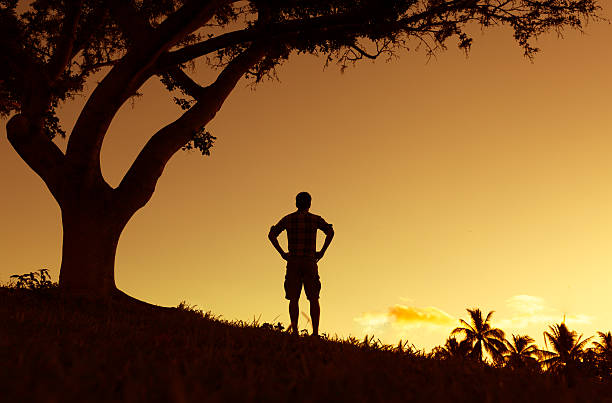 istock Man enjoying beautiful view 495623018