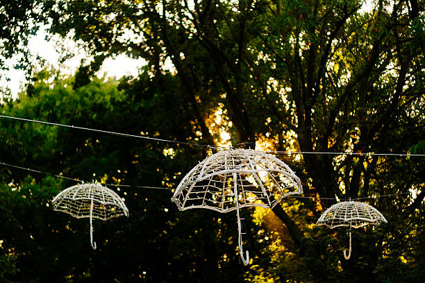 istock umbrellas in the park 495623150