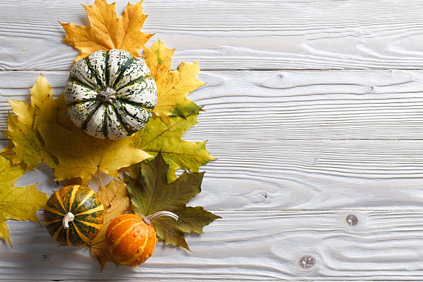 istock Autumn background with pumpkins and leaves 495623232