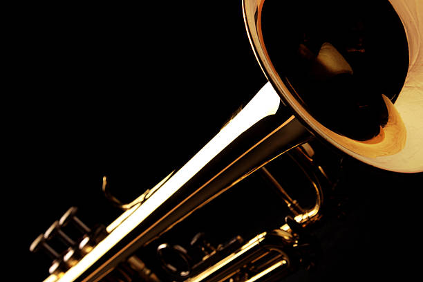 istock Trumpet on black background 495625296