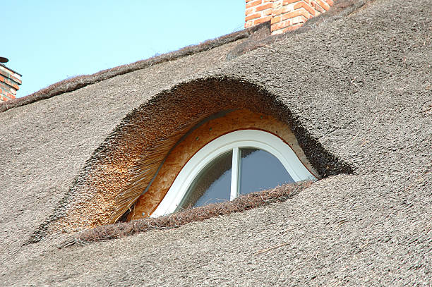 istock Straw roof and chimneys 495625639