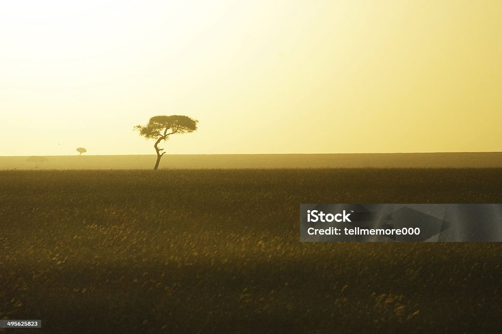 Sunrise on the savanna - Masai Mara Masai Mara, Kenya, Africa. Sunrise on the savanna. Africa Stock Photo