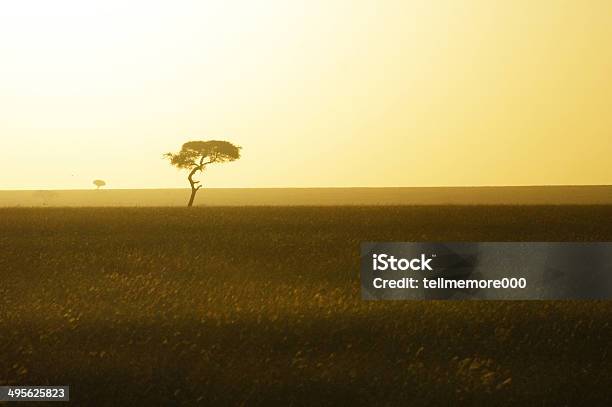 Sunrise On The Savanna Masai Mara Stock Photo - Download Image Now - Africa, Acacia Tree, Awe