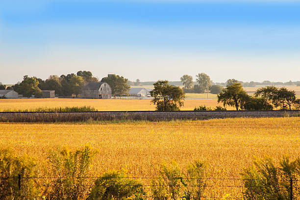 istock Golden Autumn Landscape 495625850
