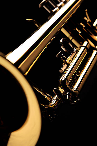 istock Trumpet on black background 495626124