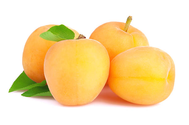 istock Ripe apricot isolated 495626187