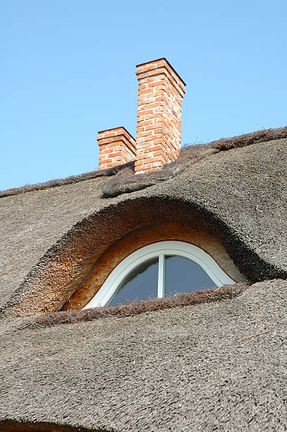 istock Straw roof and chimneys 495626209