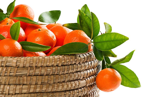 Basket of organic tangerines