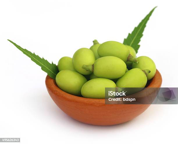 Medicinal Neem Fruits Stock Photo - Download Image Now - Alternative Medicine, Ayurveda, Bowl