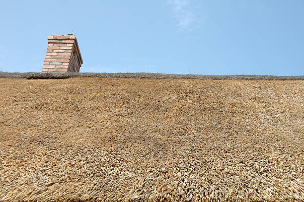 istock Straw roof and chimney 495629601