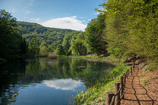 istock Forest path by the Jankovac lake in forest park Jankovac 495630147